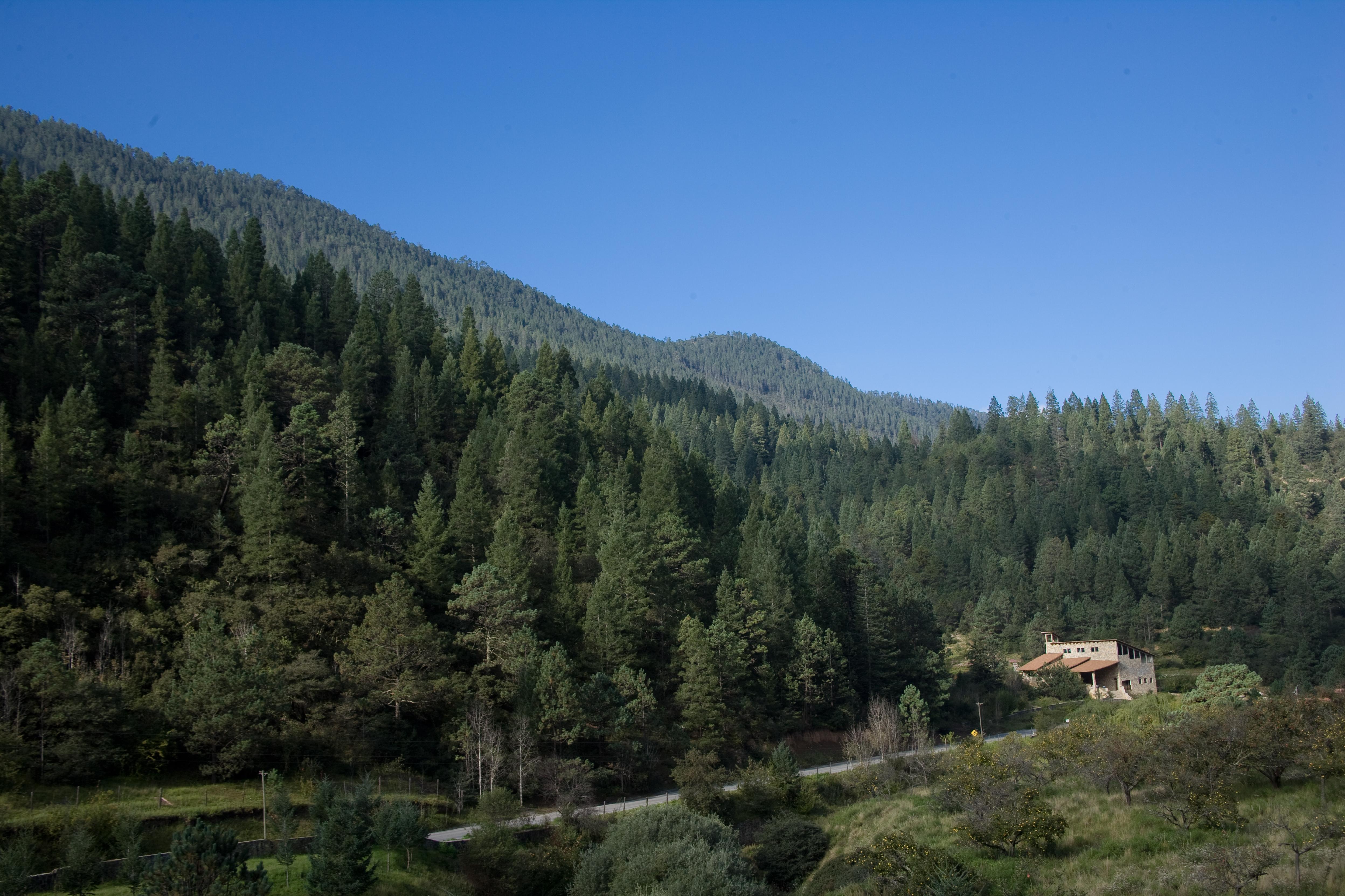 Bosques De Monterreal Hotel San Antonio de las Alzanas Exterior foto