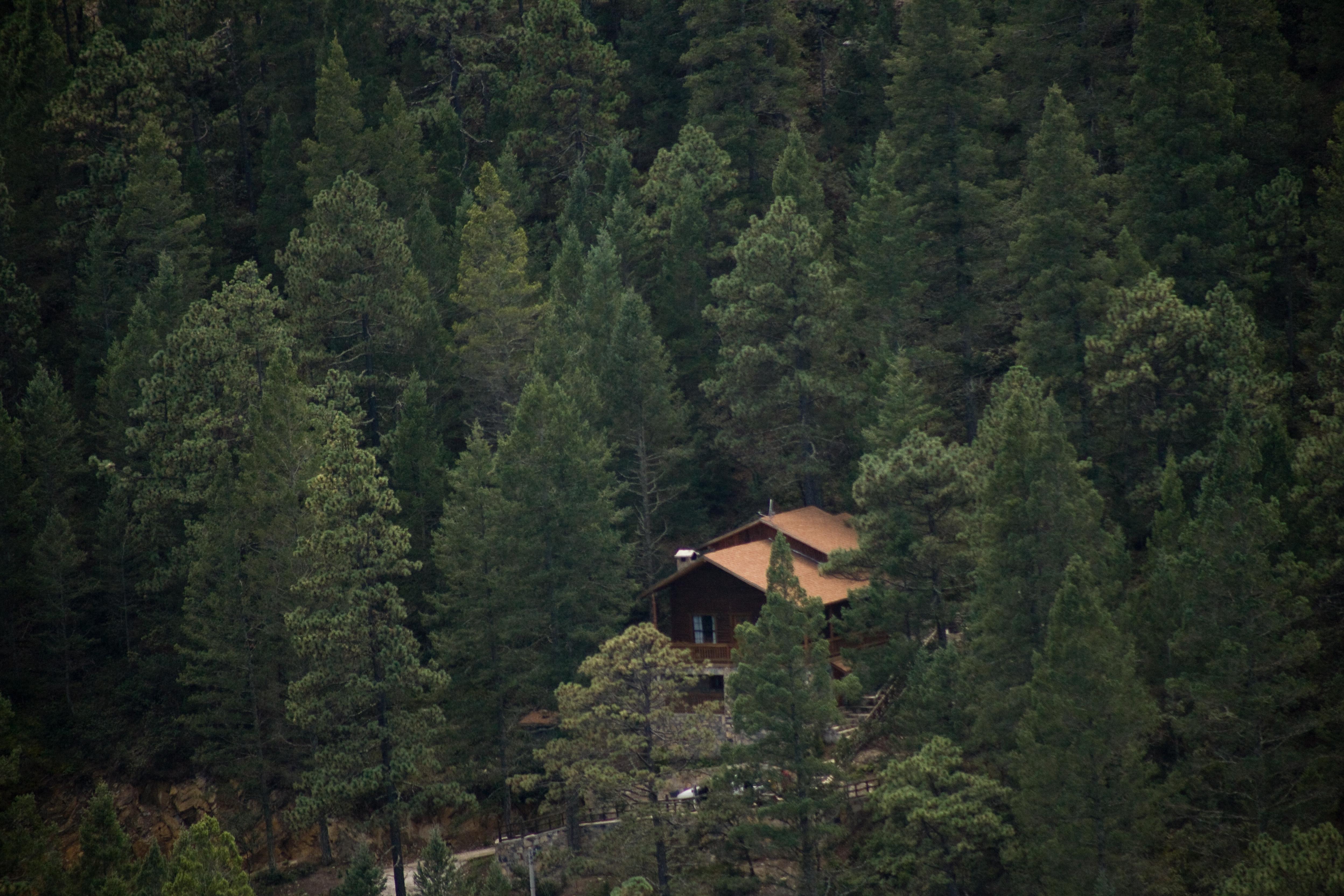 Bosques De Monterreal Hotel San Antonio de las Alzanas Exterior foto